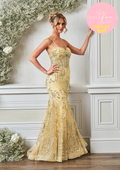 Fiahtail prom / evening dress with boned sheer bodice and corset back- Style AF5442